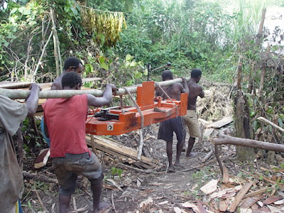 Станок Wood-Mizer переносят в джунглях по частям