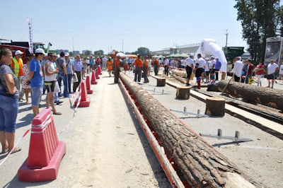 Самое длинное бревно уложено на пилораму Wood-Mizer LT15