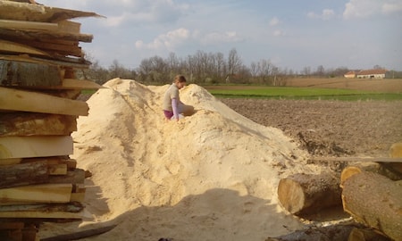 Дочка Неманья часто приходит к отцу на пилораму и живо всем интересуется