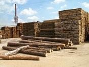 Как распиливать сосну на ленточнопильных станках Wood-Mizer?  