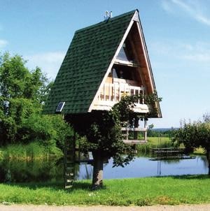 Американский владелец станка Wood-Mizer сделал семь построек и соорудил для внуков домик на дереве  