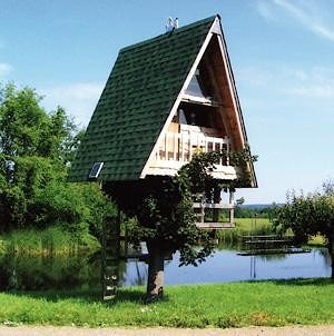 Американский владелец станка Wood-Mizer сделал семь построек и соорудил для внуков домик на дереве  