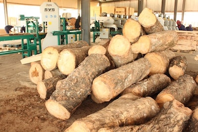 В Либерии работают лесопильные линии Wood-Mizer SLP