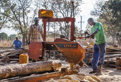 Замбия. Одна маленькая пилорама Wood-Mizer LT15 изготовила пиломатериал для 30.000 ульев  