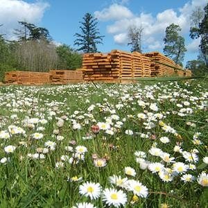 Станки Wood-Mizer вносят свой вклад в сохранение природы