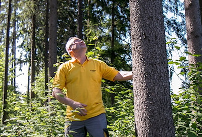 Интервью со Словенским деревообработчиком   