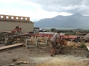 Дома и строительные элементы из сосны, поврежденной жучком