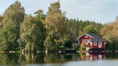 Станки Wood-Mizer помогают развивать шведскую деревообрабатывающую промышленность  