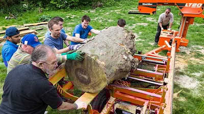 Разумное использование городской древесины в Лондоне