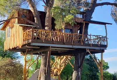 Домик на дереве из мескитовой древесины в штате Аризона  